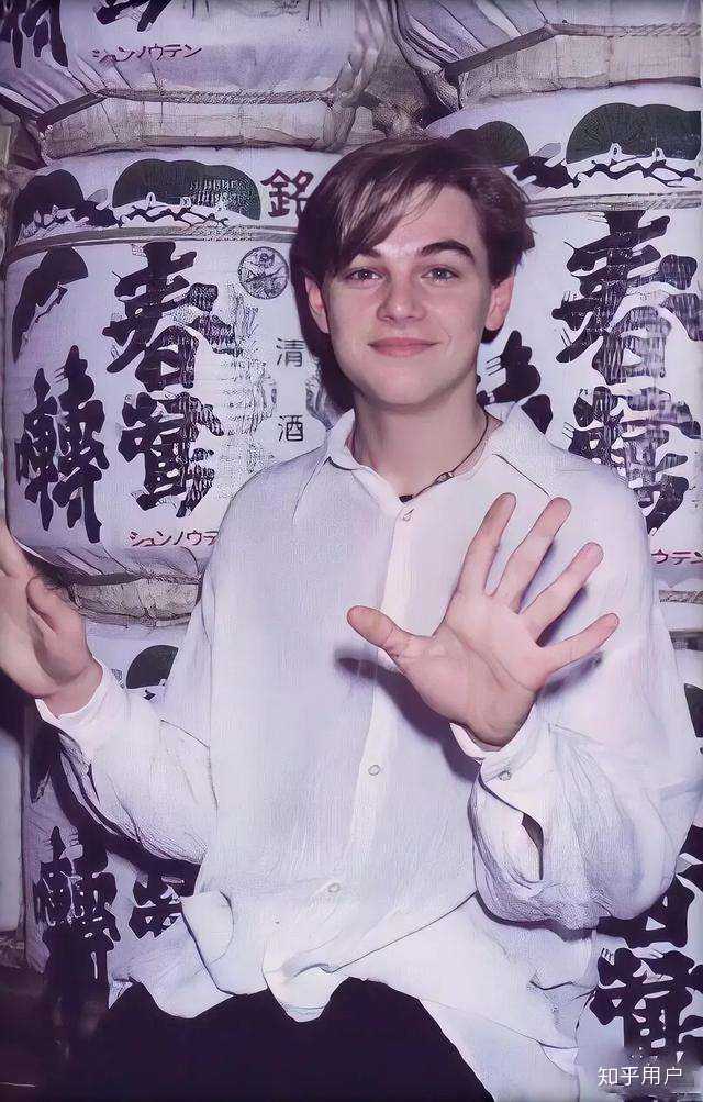 为什么我完全get不到小李子颜值?我审美有问题吗?