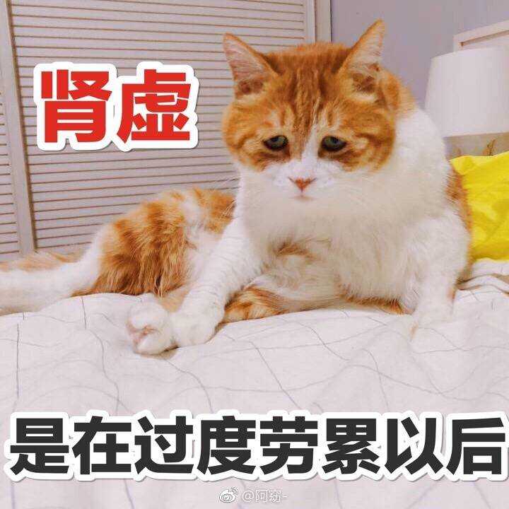 女生身高 170cm 以上是什么样的体验?