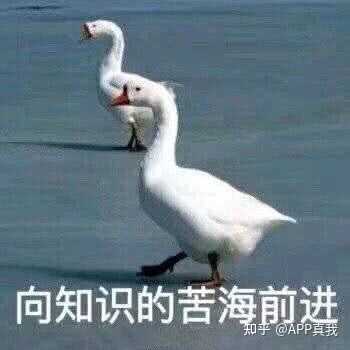 痘印心得经验_痘印心得经验_痘印心得经验