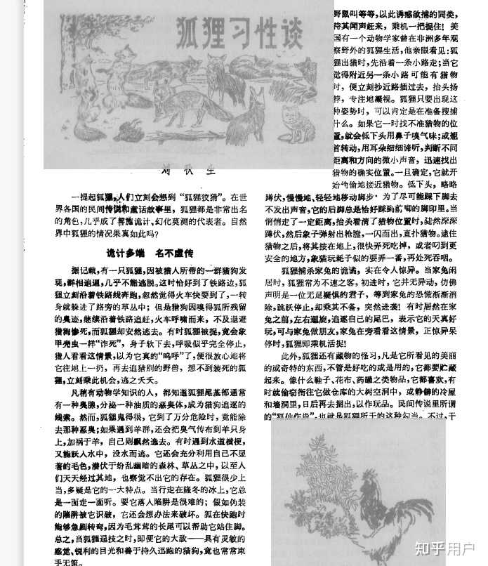 为什么狐狸被认为是狡猾的? - 知乎