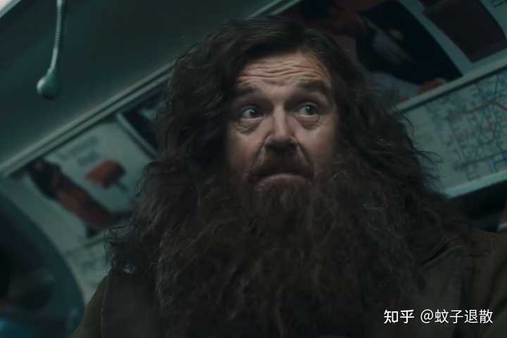 HBO 剧版《哈利·波特》强调忠于原著却引选角争议,如何评价这种改编方式? - 知乎
