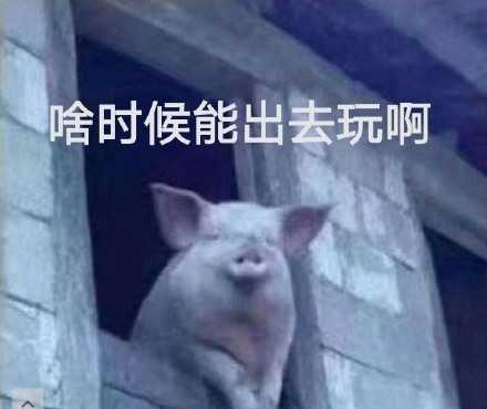 有没有那种既沙雕又搞怪的朋友圈文案?