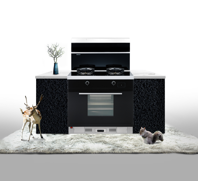 大家有用过森歌集成灶吗?性价比怎么样?