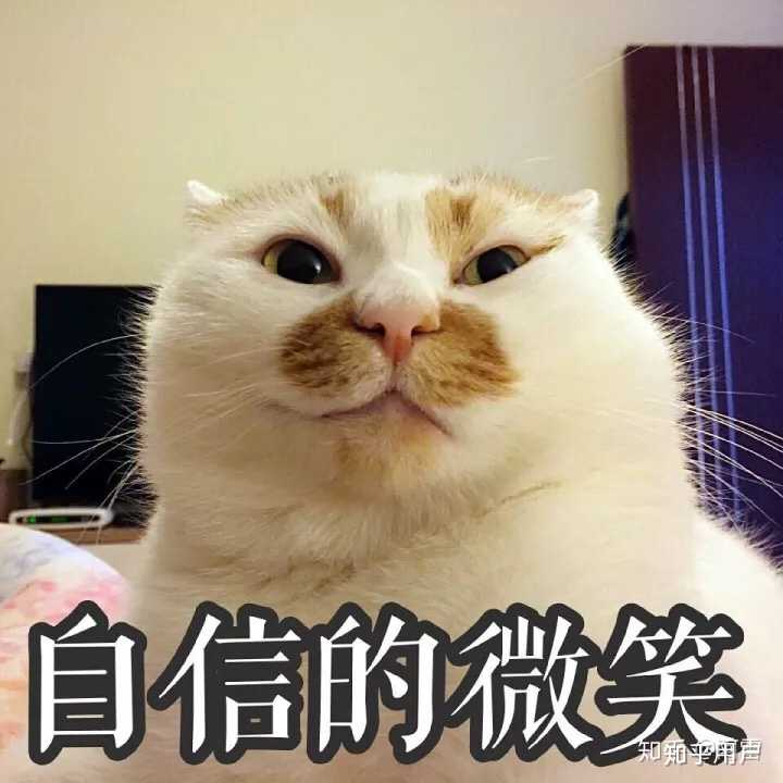 猫咪不听话怎么破？？ - 知乎