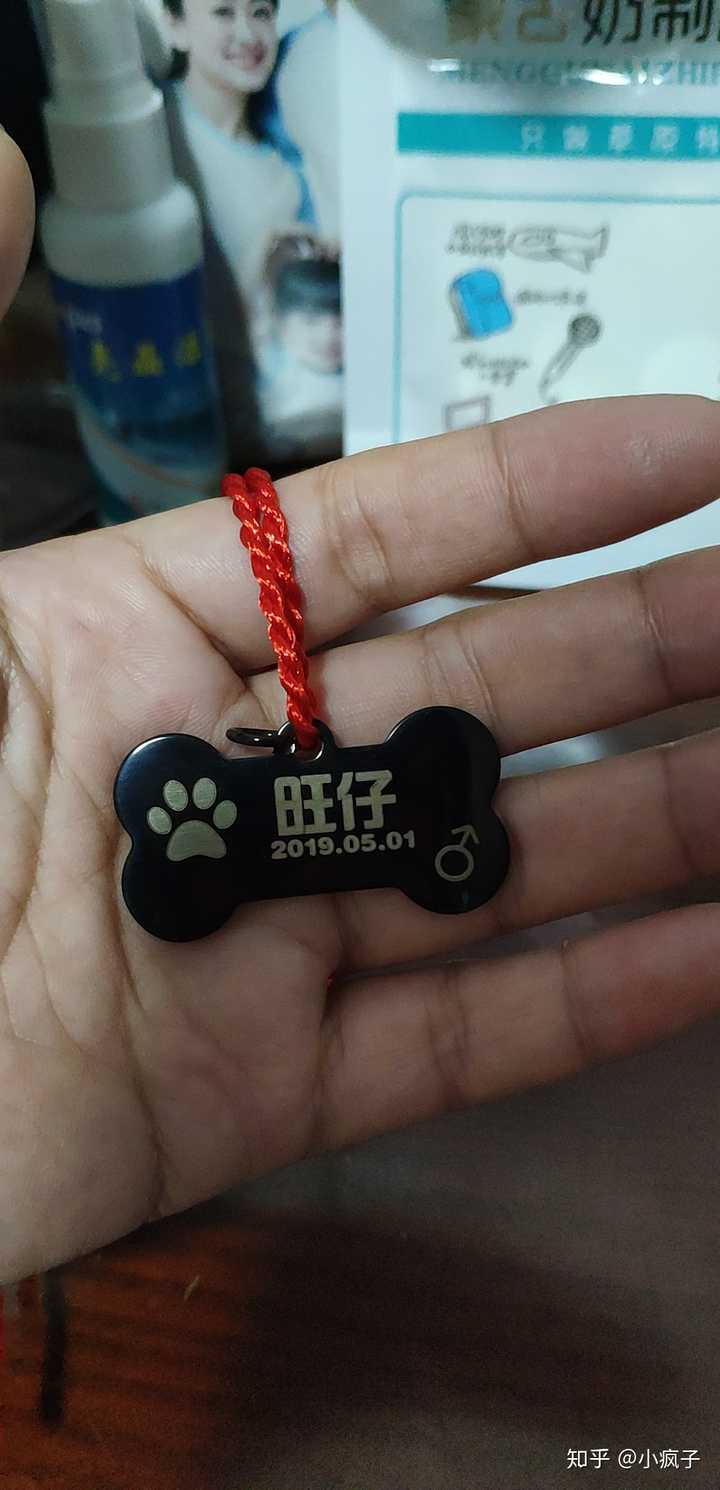 给它做的狗牌,戴上不吵不闹,真乖