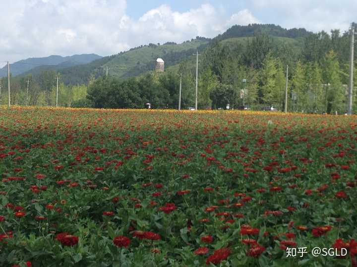 陕西附近有啥值得一去旅游景点不要太远，临近的县最好。