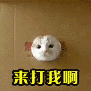 你有哪些面试失败的惨痛经验?