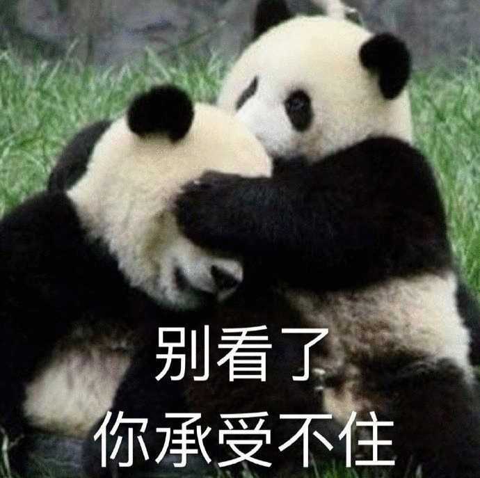 动图封面