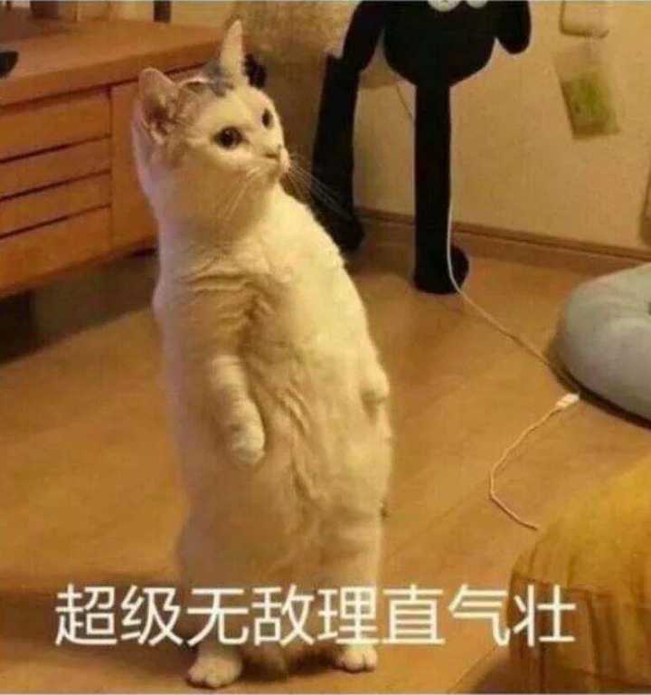 在追女生过程中,要不要每天都找她聊天?什么样的表现应该止损放弃?