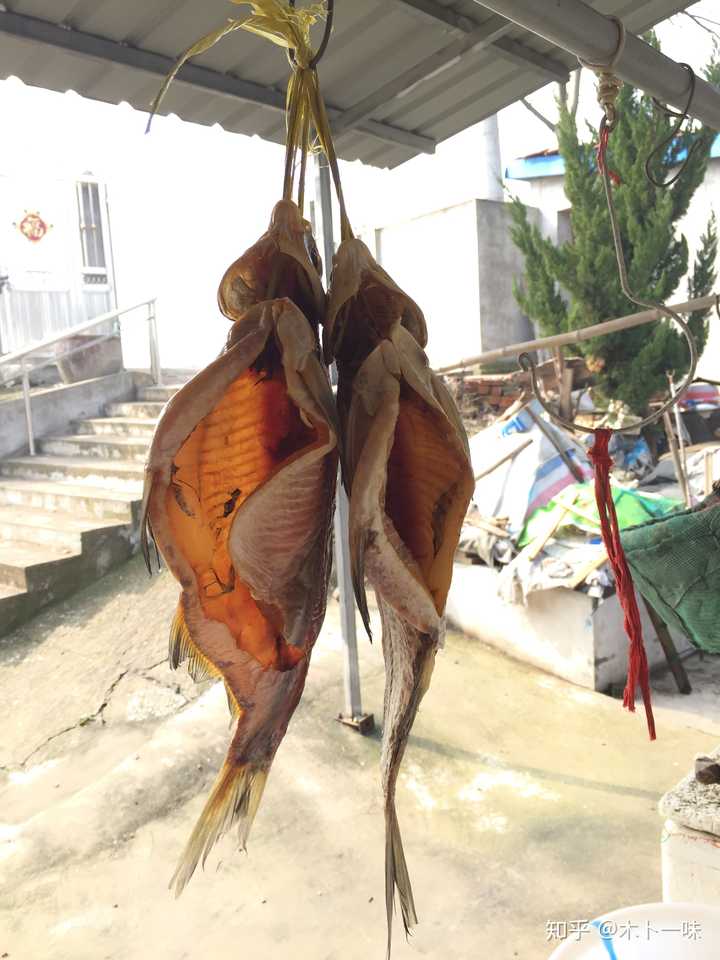 晾咸鱼,备年货