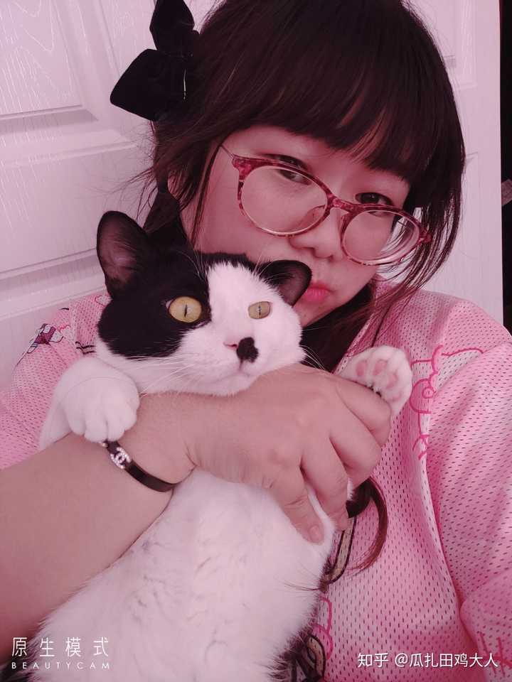 奶牛猫真的很皮吗 知乎