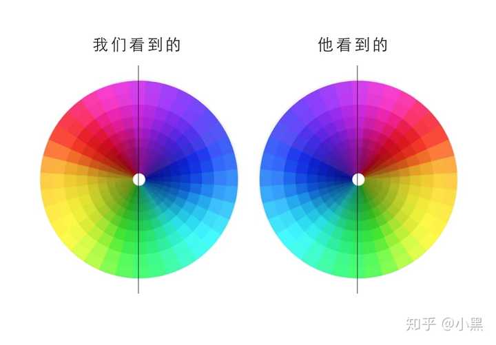 色盲后虽然蓝色和黄色对调了,但红色因为对称关系改变,会变成蓝紫色