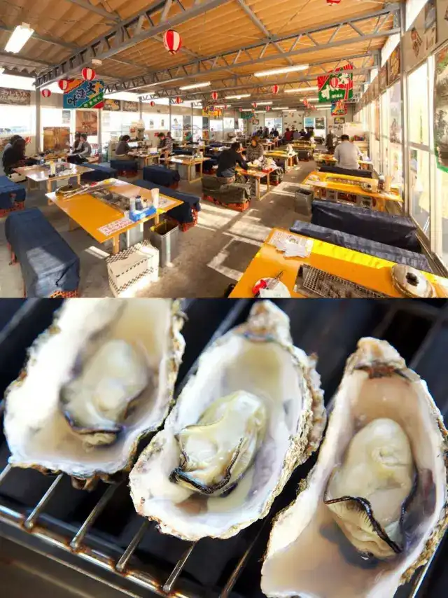广岛是一座怎样的城市 知乎 广岛是一座怎样的城市 知乎