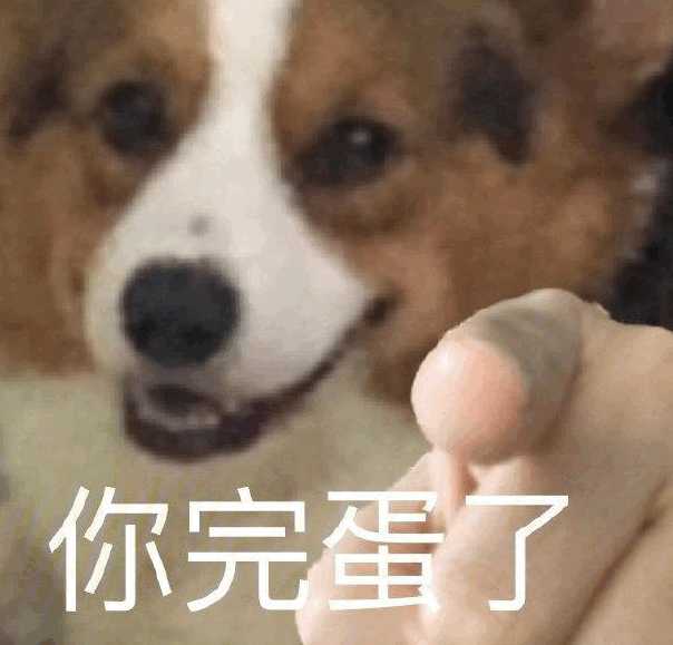 谁有二哈指人的表情包? - 知乎