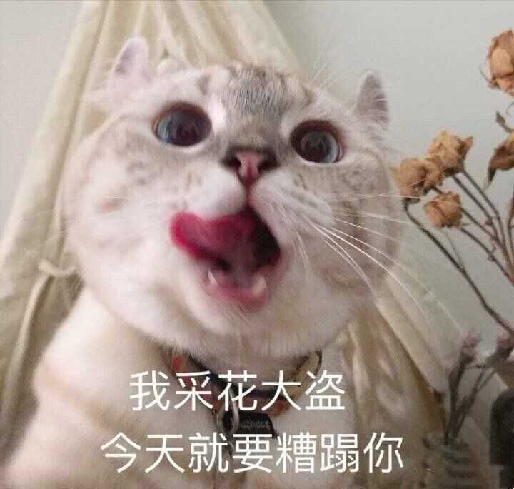 有什么撩女生的情话和表情包