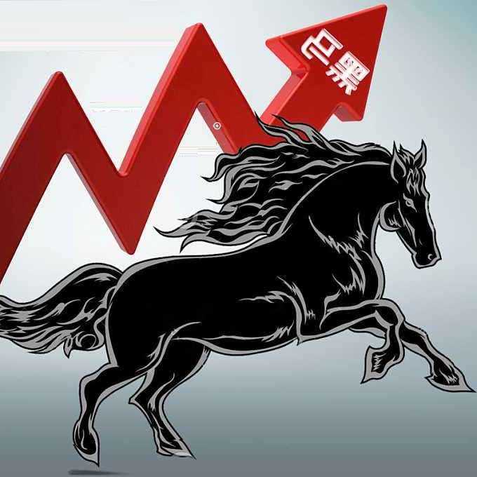 什么板块的股票2017最可能出黑马?