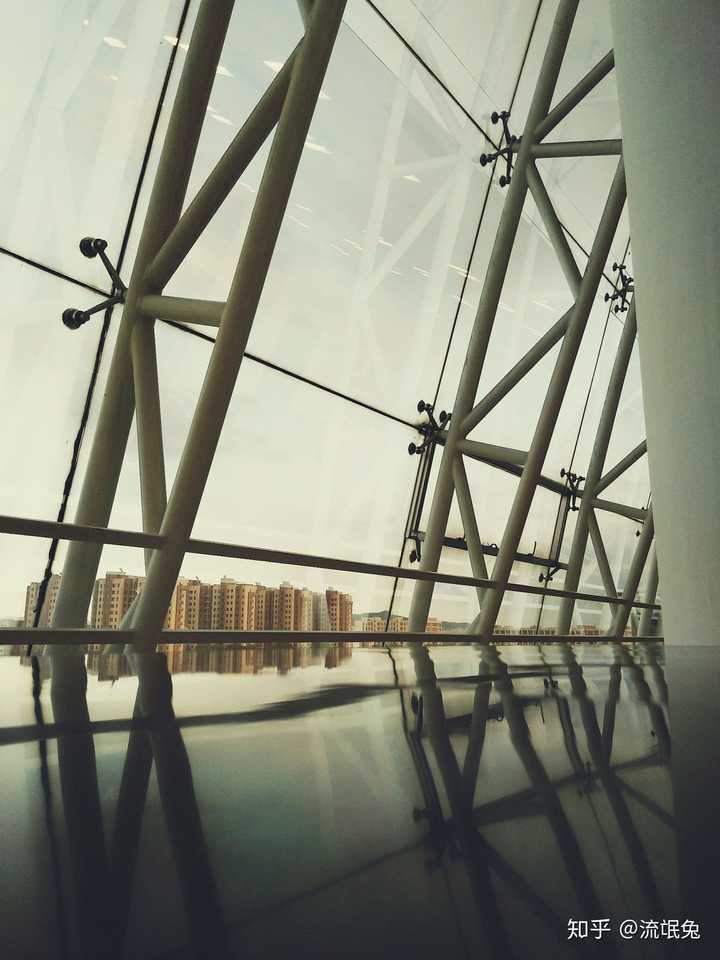 一个人单身了很久真的过的快乐吗 知乎