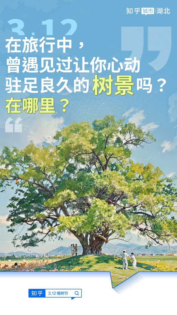 在旅行中，曾遇见过让你心动、驻足良久的树景吗？在哪里？