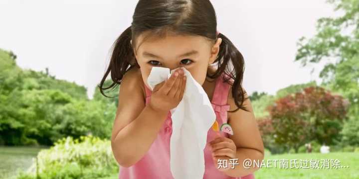 Naet 是什麼意思 南氏平衡的回答 知乎