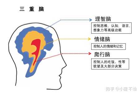 二,第二种是理性脑订下的,情绪脑也认可的目标,这