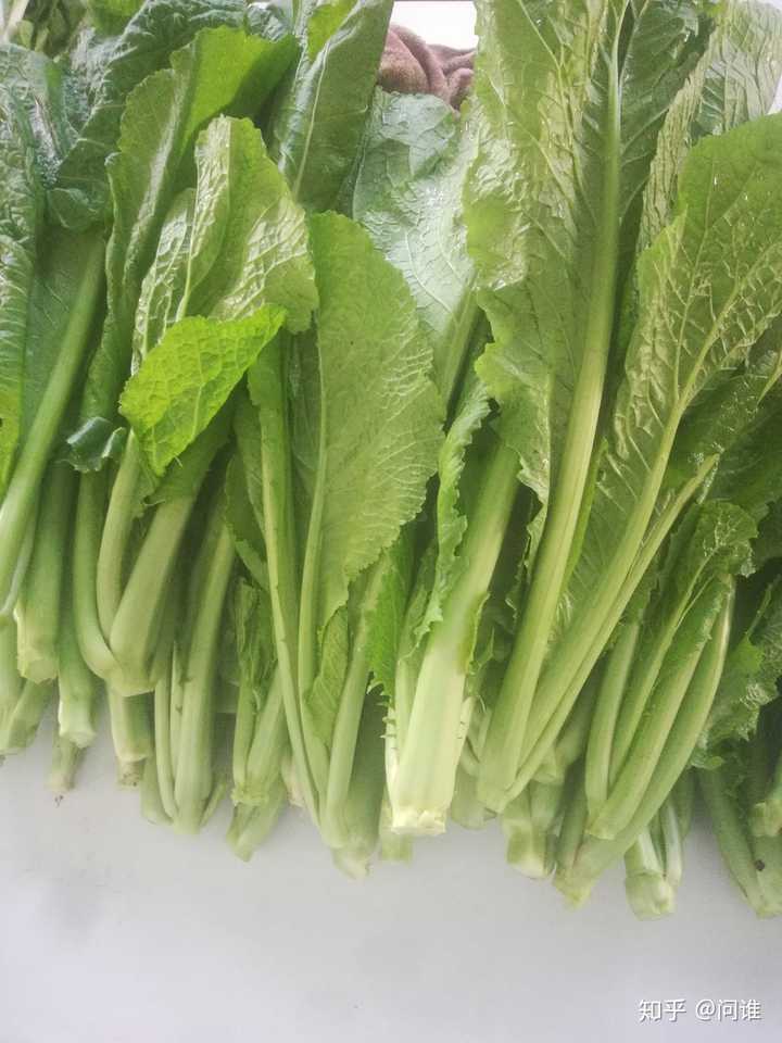 北方人真的不知道南方人说的青菜是什么吗