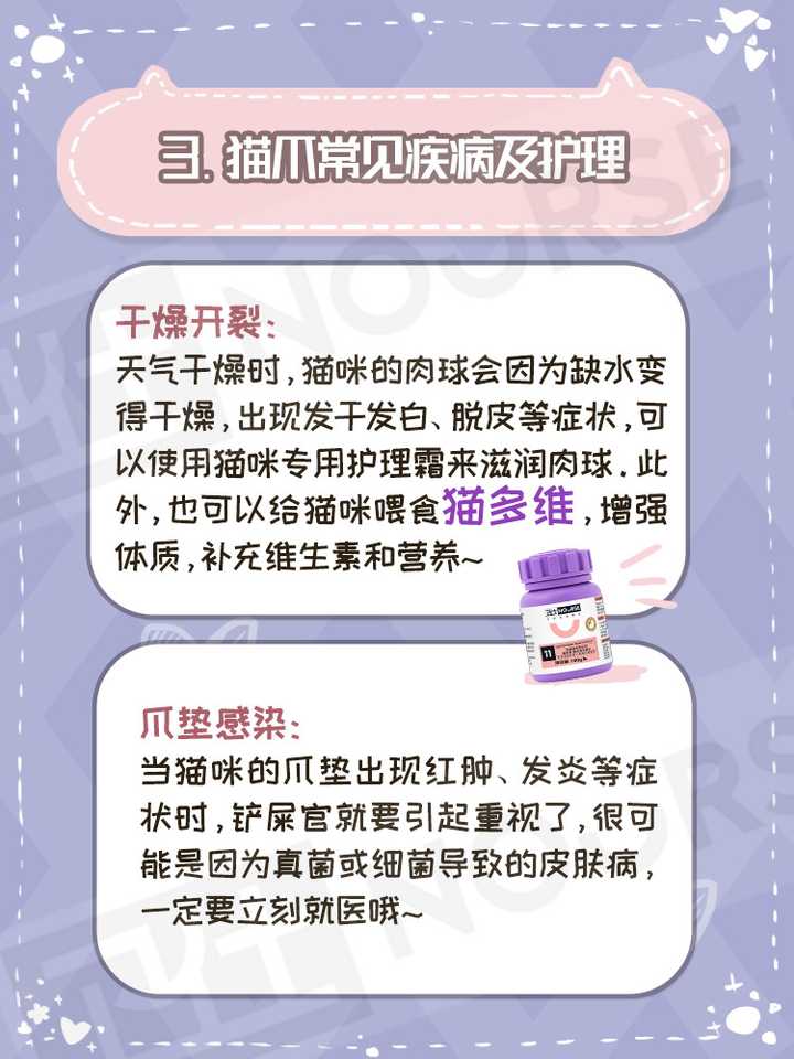 猫的肉垫需要经常涂抹东西来护理吗 知乎 猫的肉垫需要经常涂抹东西来护理吗 知乎