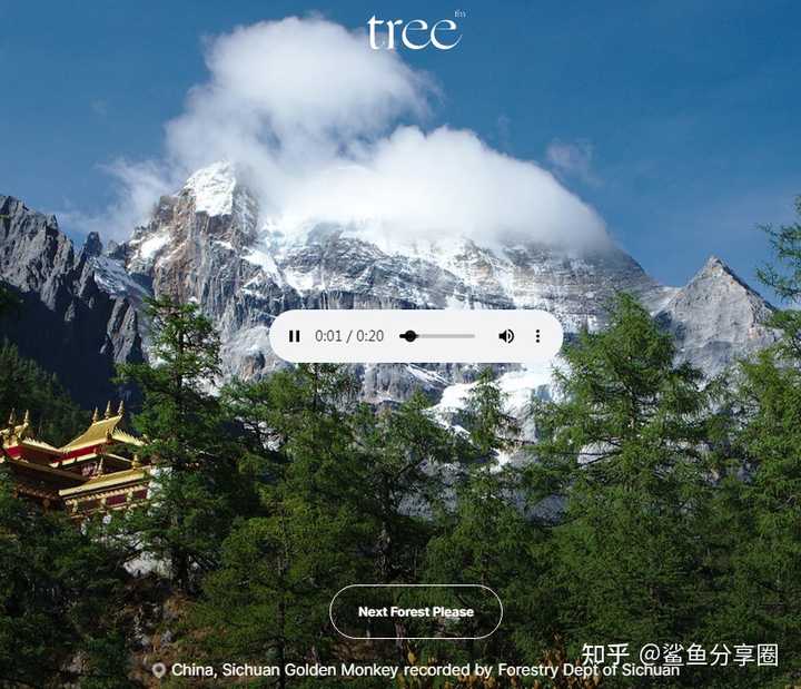 有哪些鲜为人知,但是很有意思的网站?