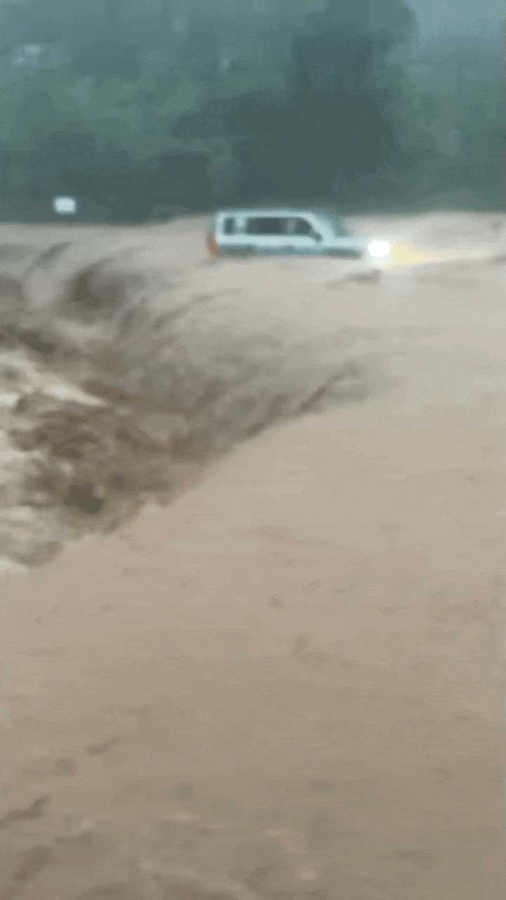 动图封面