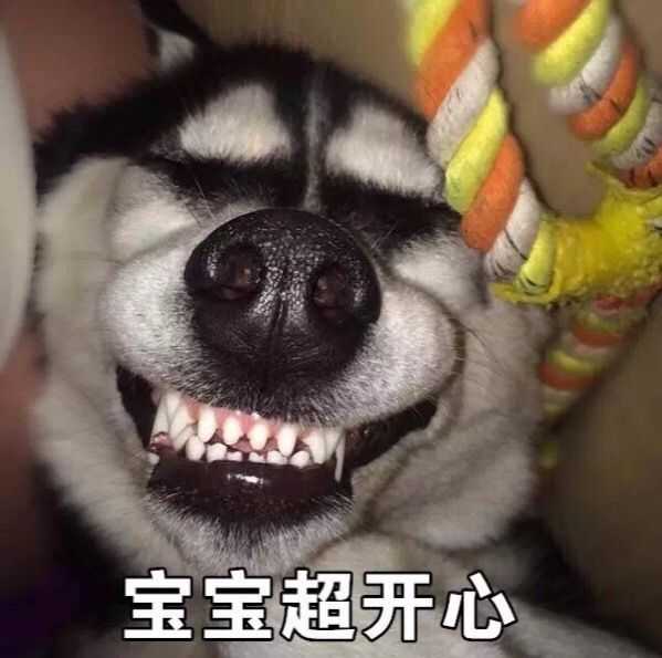你觉得什么事情是不能开玩笑的?