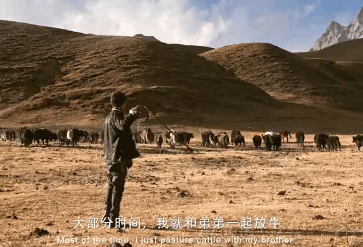 动图封面