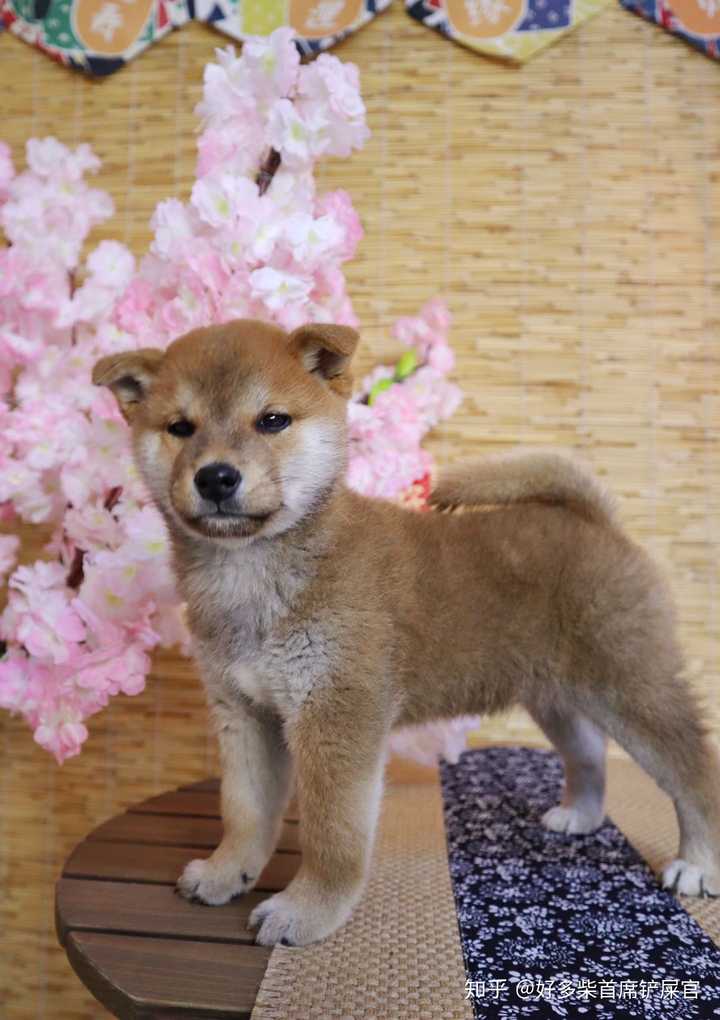 亲儿子怎么样在哪