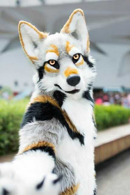 为什么有毛的动物远远要比没毛动物要可爱,而人如果浑身长毛就不讨喜