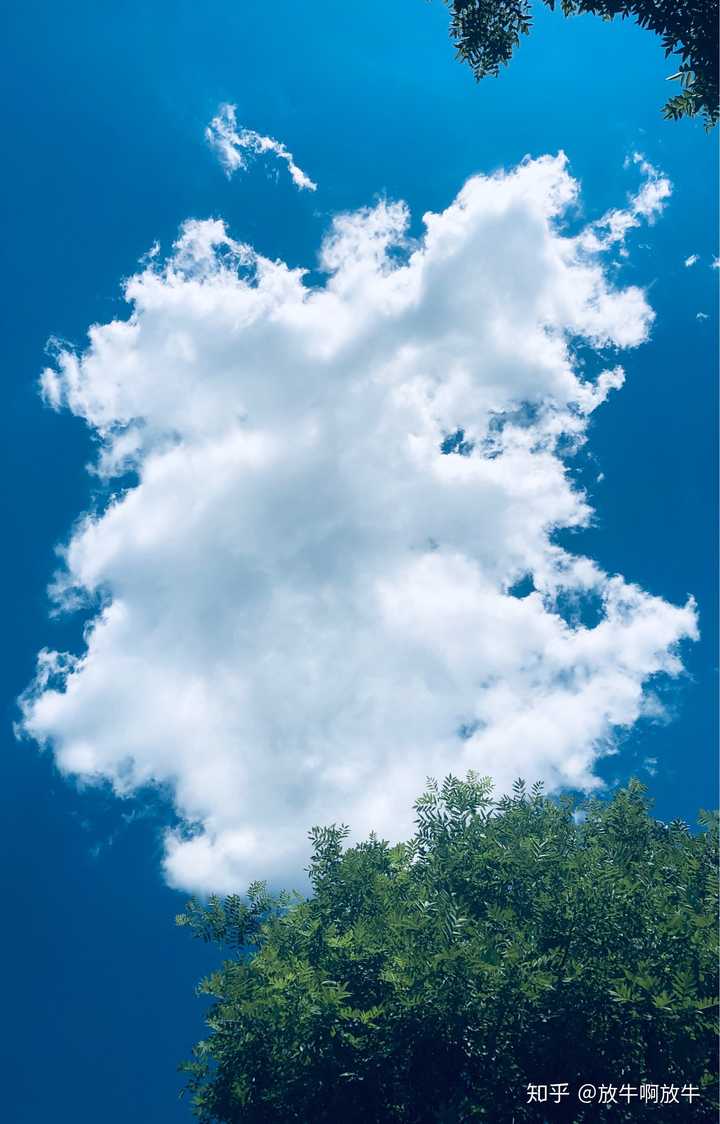 非常喜欢蓝天白云,可以发一张自己拍摄的你最喜欢的天空照片吗?