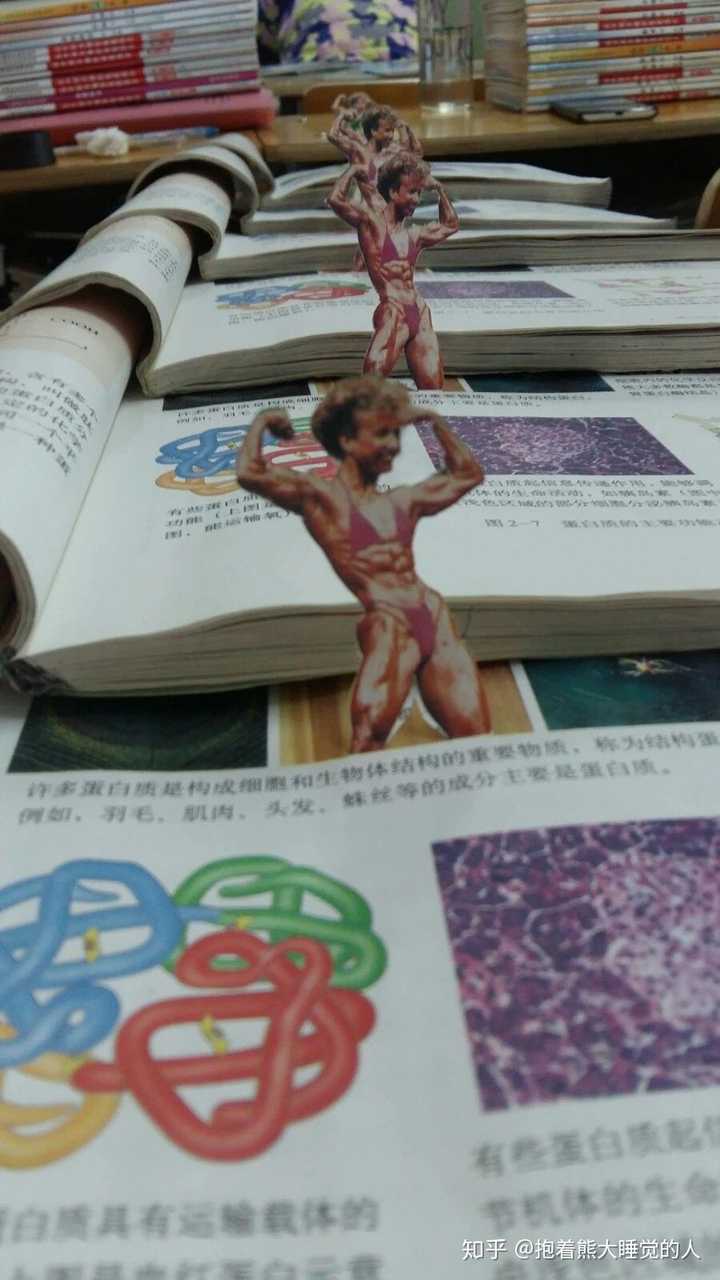 高中生物书上的那个肌肉女到底是谁?