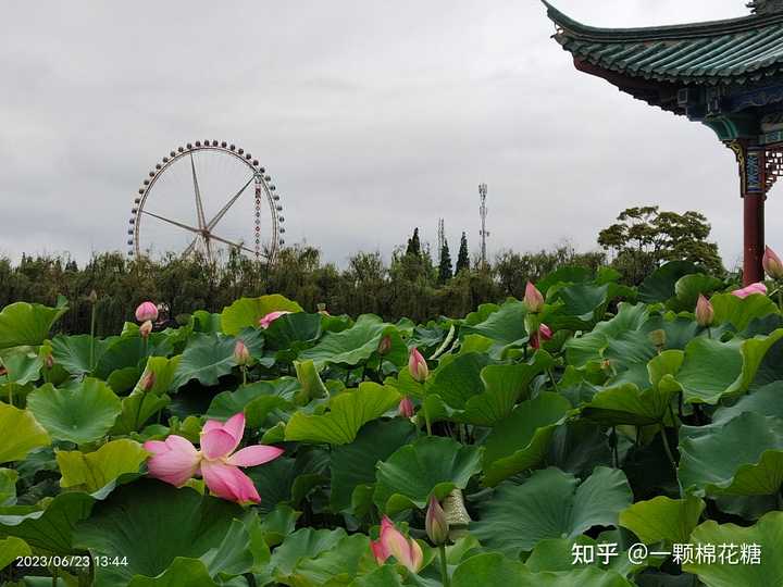 因一句诗，去一座城”，你还知道哪些诗人笔下的美景？ - 一颗棉花糖的