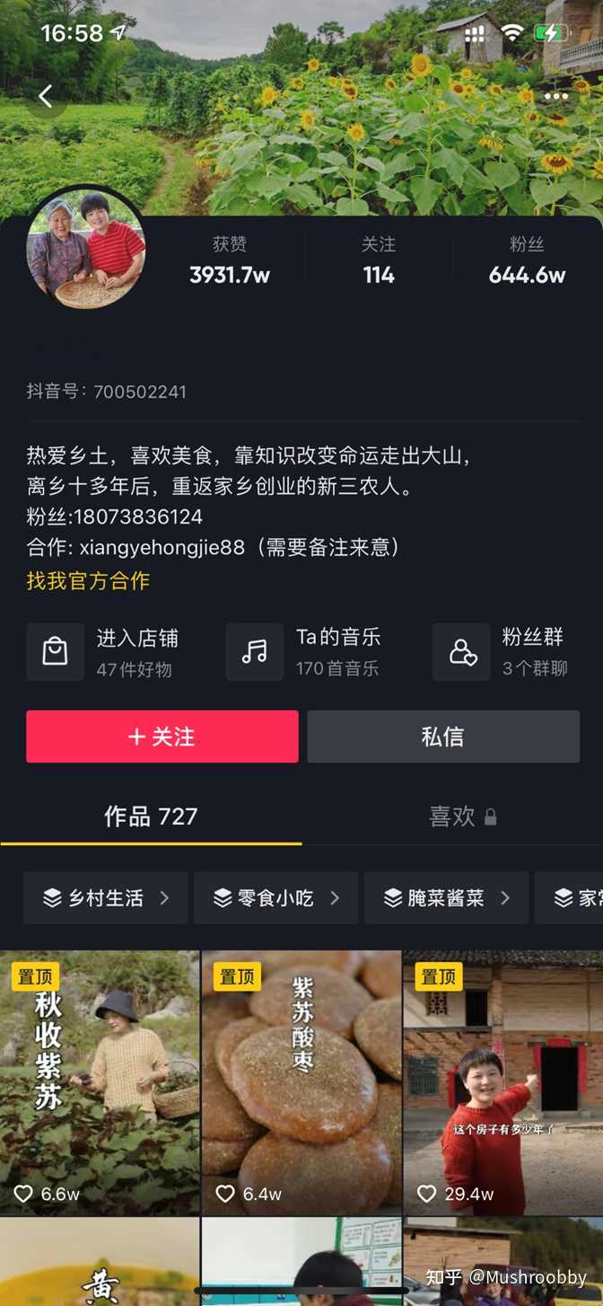 1019抖音美好奇妙夜完整版_我的美好生活抖音_2019抖音美好奇妙夜在线