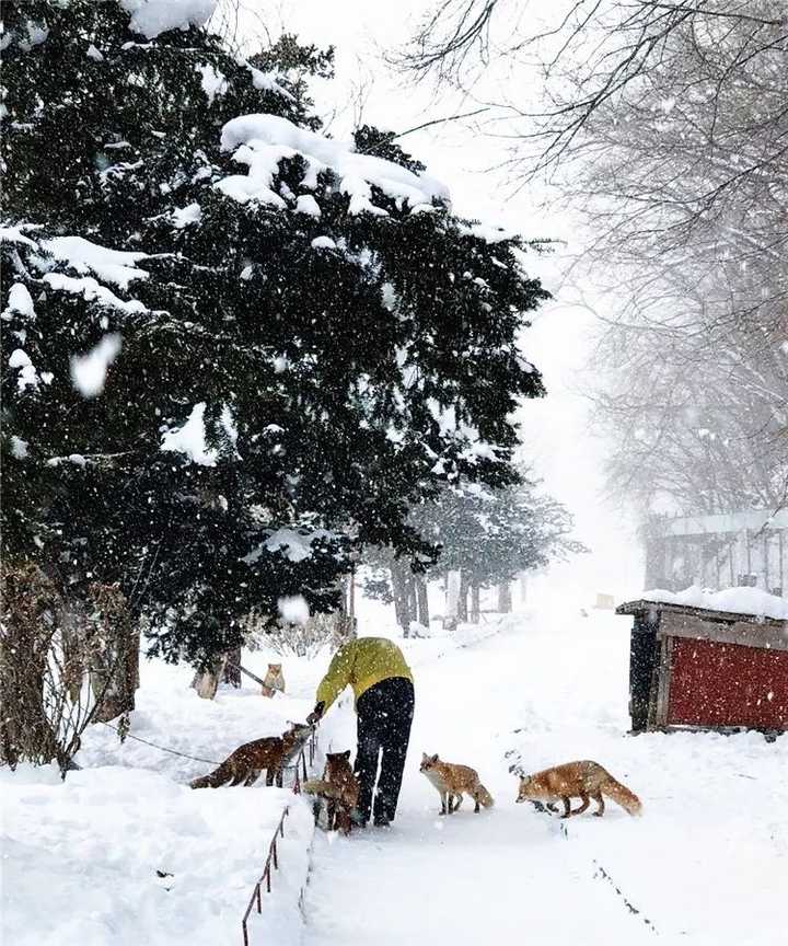 北海道很美吗 知乎
