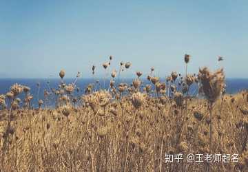 古诗词中有哪些好听的名字?