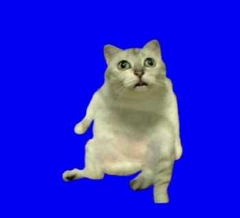 如何看待蒙古国恢复使用回鹘式蒙古文 对内蒙古有何连带影响 知乎