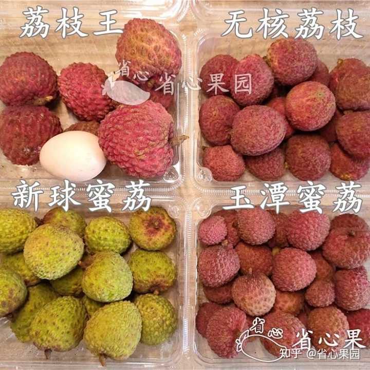无核的荔枝是怎么培育出来的啊? - 知乎