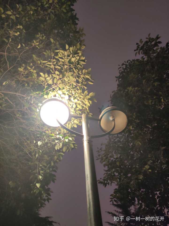 漫步在雨中 抬头看见这一盏灯 多像自己啊 一半是光一半是暗 光留给