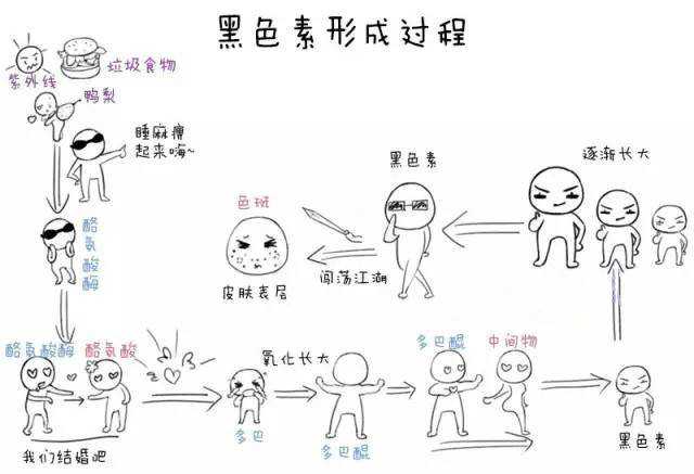 黑色素的生成过程,可分为四个部分: 外界刺激—黑色素诞生—转业浇