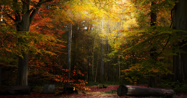 根据我的算法，居然推出了“最大的数是10”，问题出在哪了？