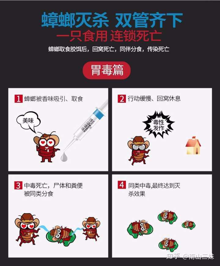 如何有效杀灭家中的蟑螂 知乎 如何有效杀灭家中的蟑螂 知乎