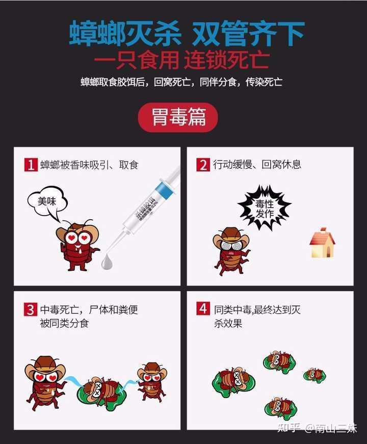 如何有效杀灭家中的蟑螂 知乎