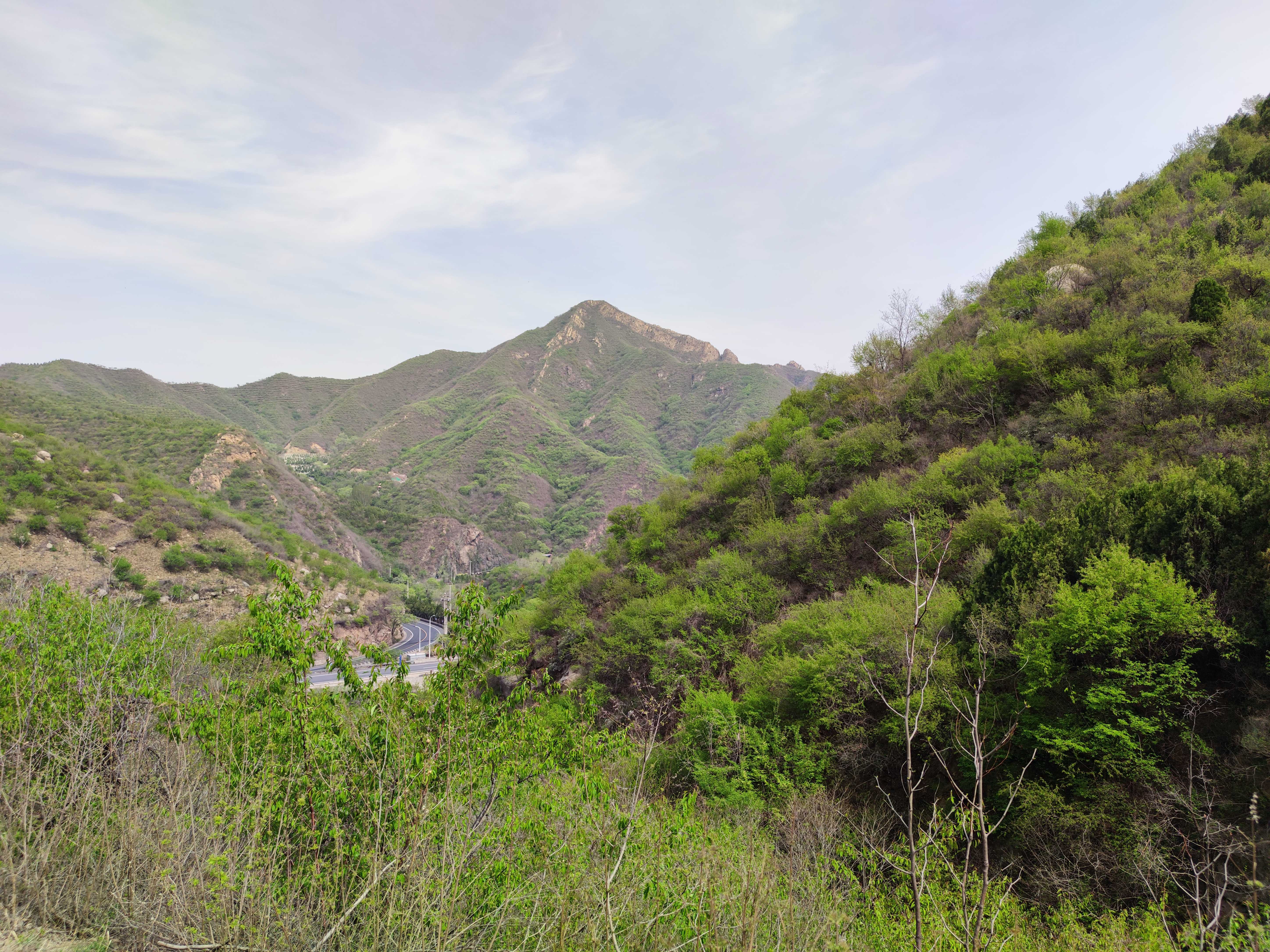 十号 的想法: 寒冰射手曹草草 : 摸鱼消耗的卡路里比鱼… - 知乎