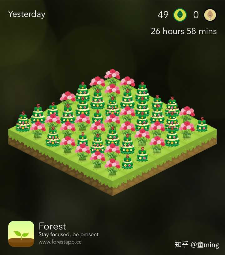 用forest种树怎样搭配最好看? - 知乎