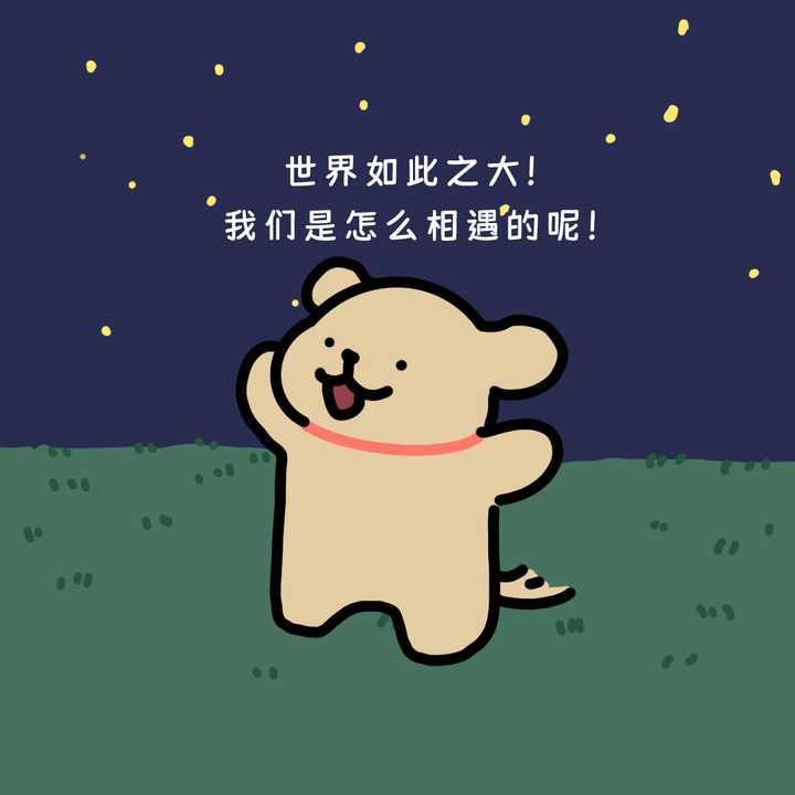 有没有超可爱的小狗头像或背景图? - 知乎