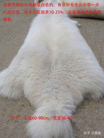 真毛狐腹毛 真毛狐腹毛