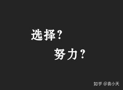 如何评价 选择比努力更重要 这种观点 知乎